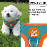 Dog Harness and Leash Set