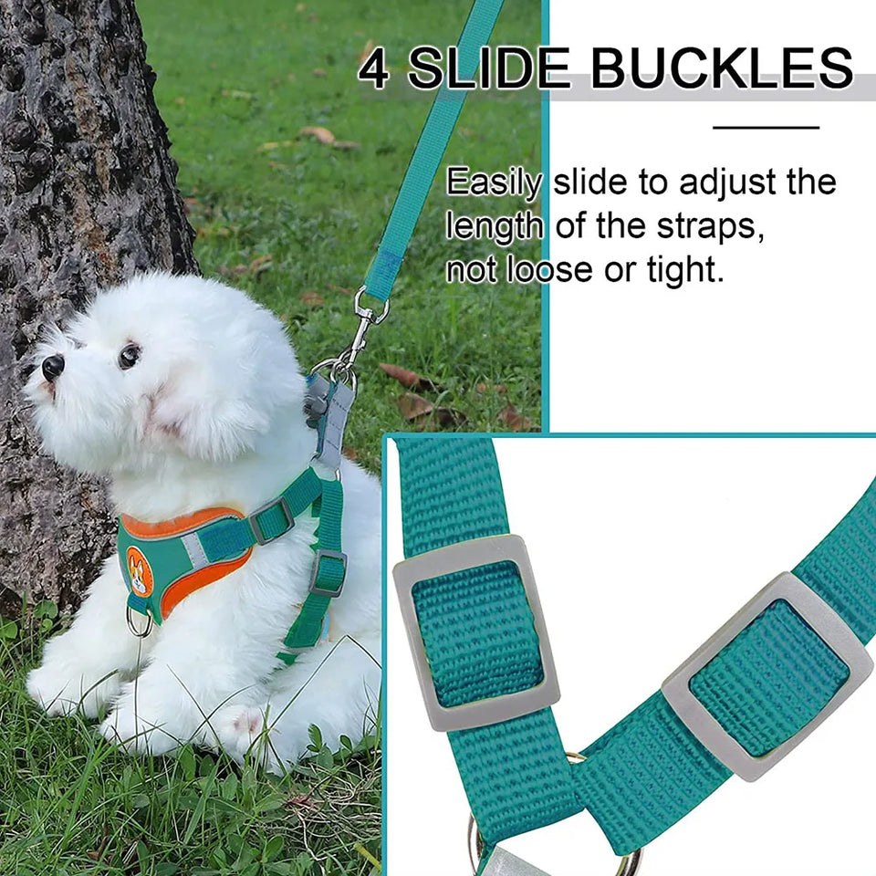 Dog Harness and Leash Set