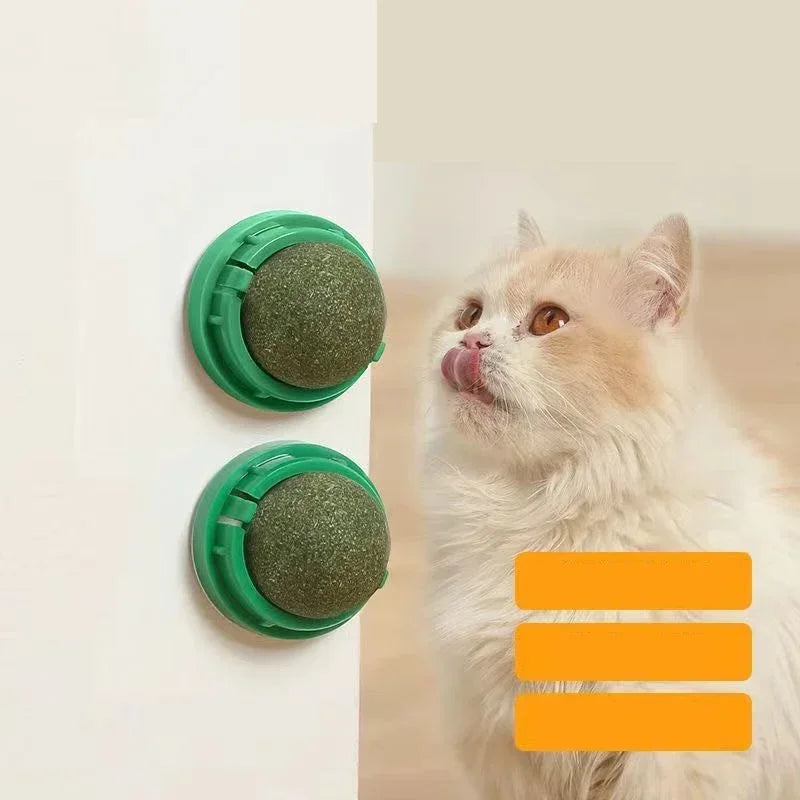 Licking Snacks Pet Mint Ball