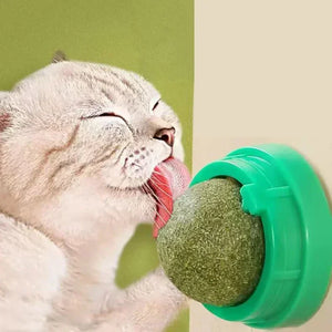 Licking Snacks Pet Mint Ball