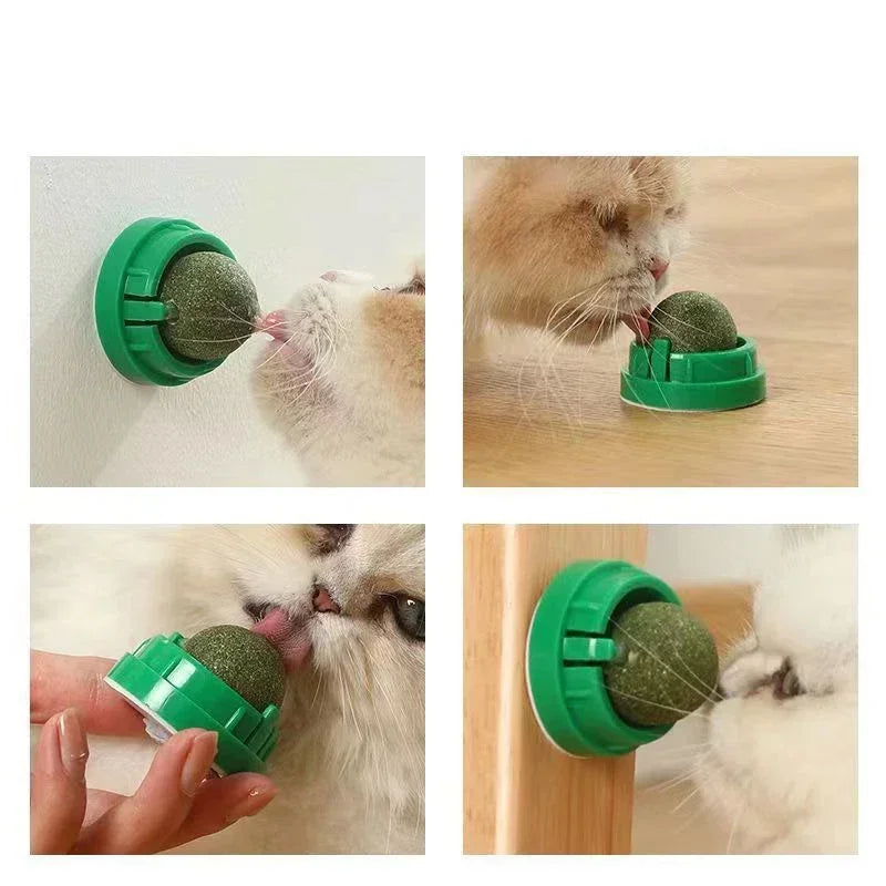 Licking Snacks Pet Mint Ball