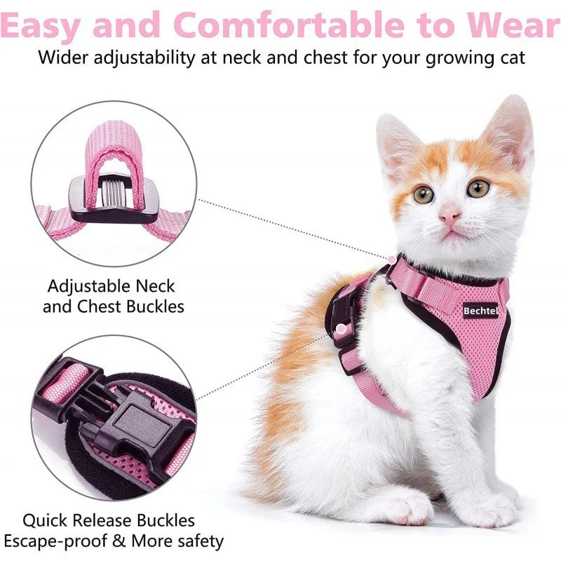 Fashionable, durable cat collar