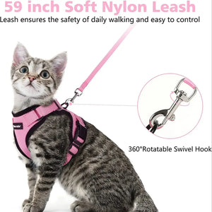 Fashionable, durable cat collar