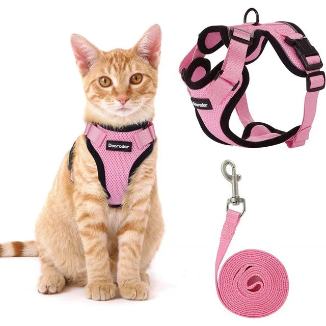 Fashionable, durable cat collar